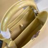 Louis Vuitton Capucines Medium
