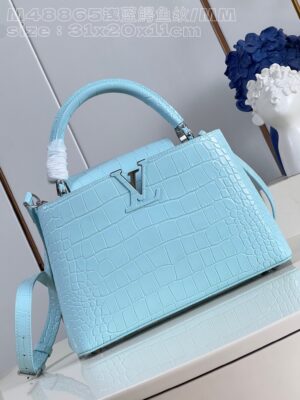Louis Vuitton Capucines Medium