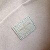 Louis Vuitton Pochette Felicie Bag