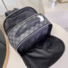 Louis Vuitton Avenue Backpack