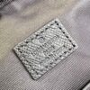 Louis Vuitton Avenue Backpack
