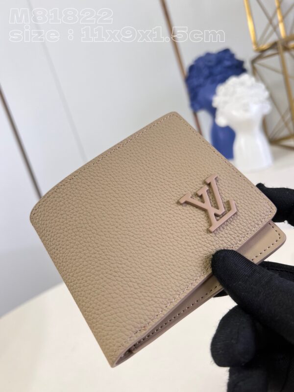 Louis Vuitton Multiple Wallet