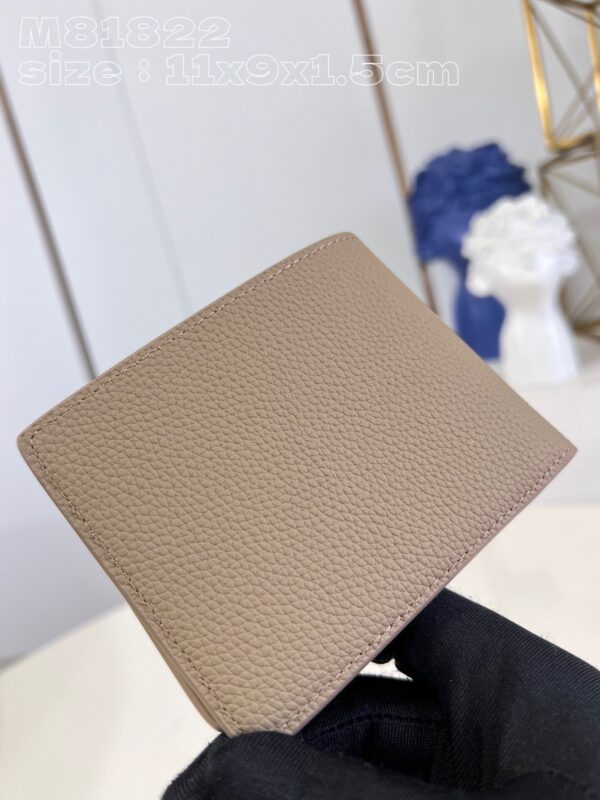 Louis Vuitton Multiple Wallet