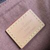 Louis Vuitton Popincourt Haut Bag