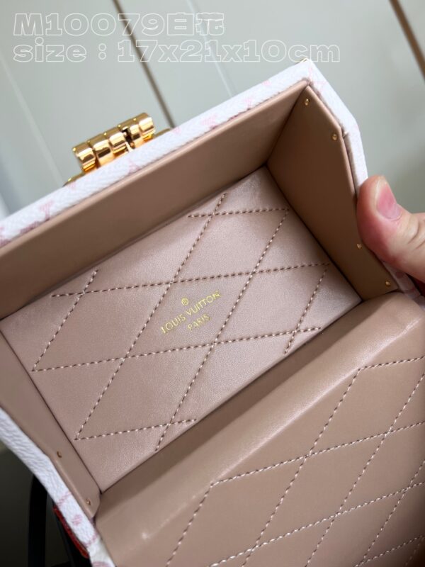 Louis Vuitton Camera Box