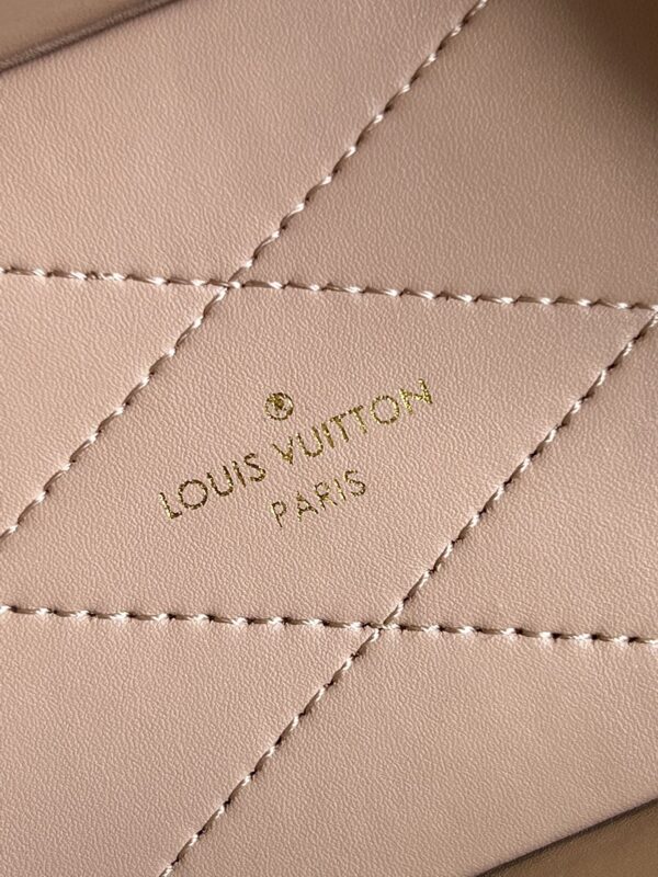 Louis Vuitton Camera Box