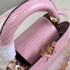 Louis Vuitton Capucines Mini Handbag