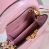 Louis Vuitton Capucines Mini Handbag