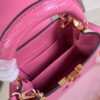 Louis Vuitton Capucines Mini Handbag