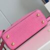 Louis Vuitton Capucines Mini Handbag