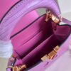 Louis Vuitton Capucines Mini Handbag