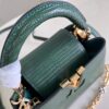 Louis Vuitton Capucines Mini Handbag