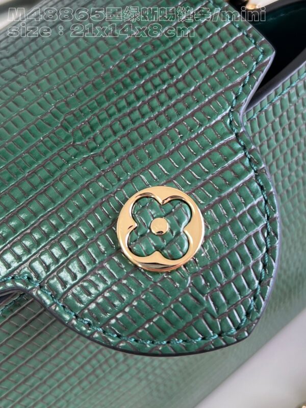 Louis Vuitton Capucines Mini Handbag