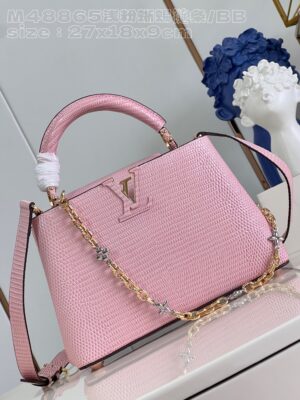 Louis Vuitton Capucines Small Handbag