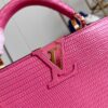 Louis Vuitton Capucines Small Handbag