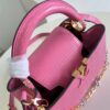Louis Vuitton Capucines Small Handbag