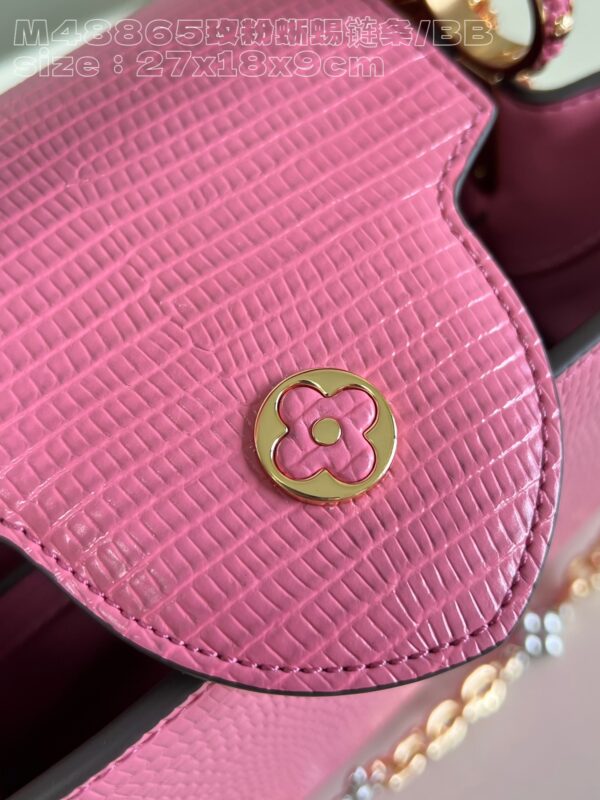 Louis Vuitton Capucines Small Handbag