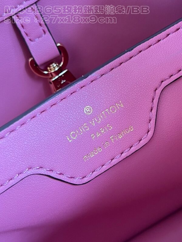 Louis Vuitton Capucines Small Handbag