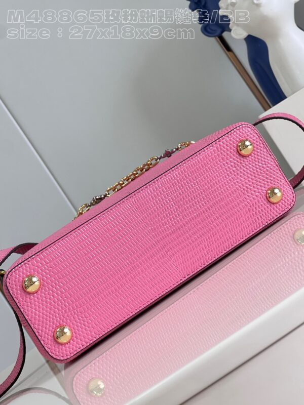 Louis Vuitton Capucines Small Handbag