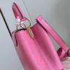 Louis Vuitton Capucines Small Handbag