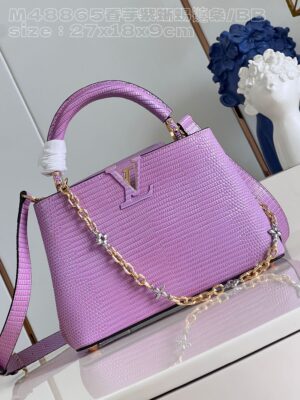 Louis Vuitton Capucines Small Handbag