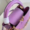 Louis Vuitton Capucines Small Handbag