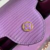 Louis Vuitton Capucines Small Handbag