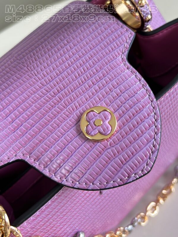 Louis Vuitton Capucines Small Handbag