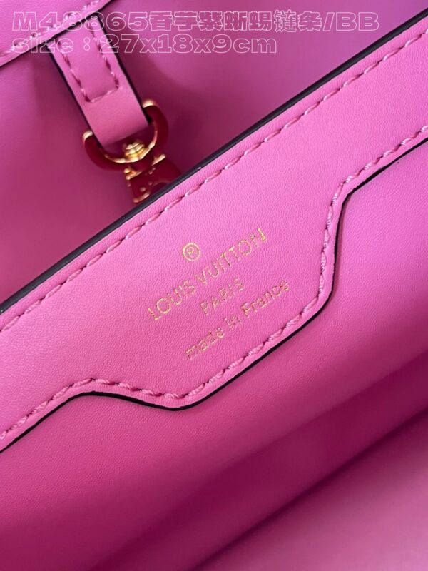 Louis Vuitton Capucines Small Handbag