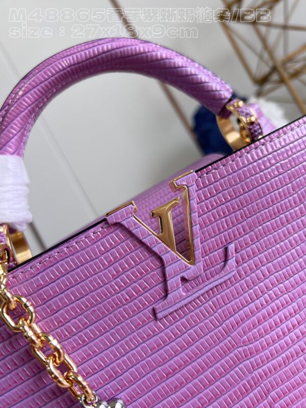 Louis Vuitton Capucines Small Handbag