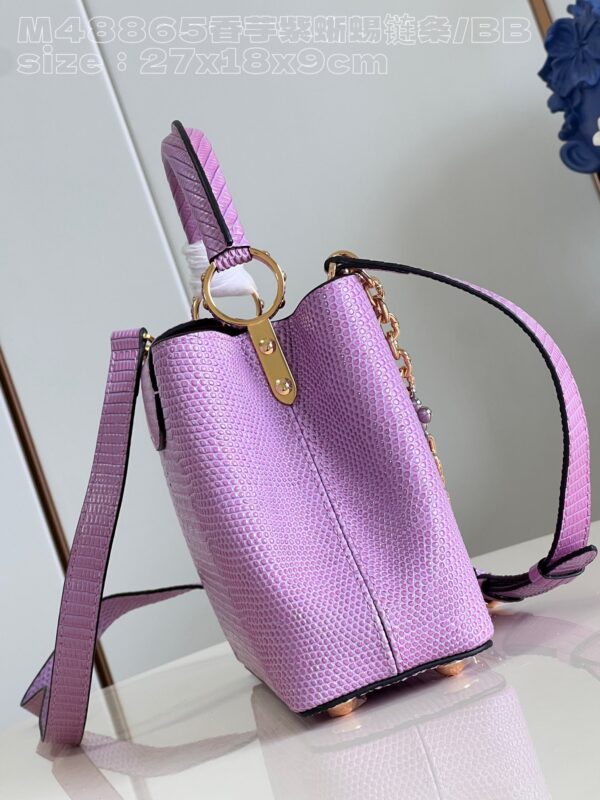 Louis Vuitton Capucines Small Handbag