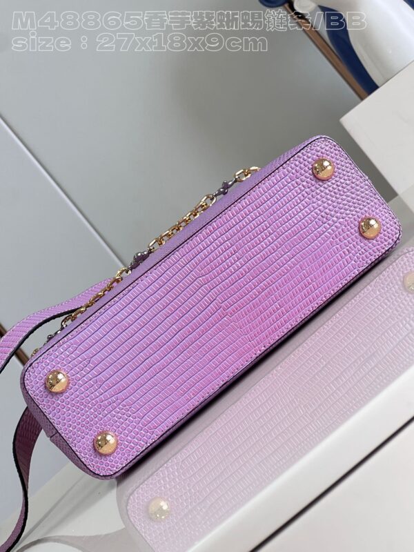 Louis Vuitton Capucines Small Handbag