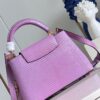 Louis Vuitton Capucines Small Handbag