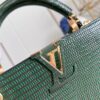 Louis Vuitton Capucines Small Handbag