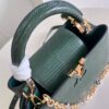 Louis Vuitton Capucines Small Handbag