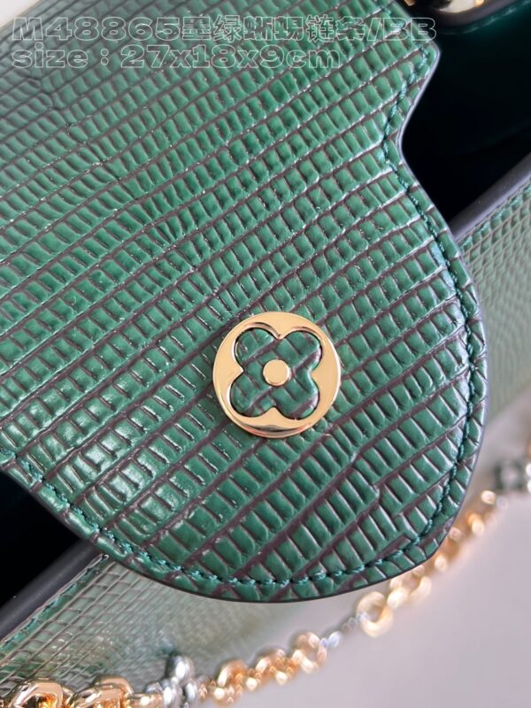 Louis Vuitton Capucines Small Handbag