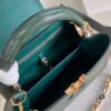 Louis Vuitton Capucines Small Handbag