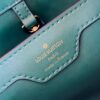 Louis Vuitton Capucines Small Handbag