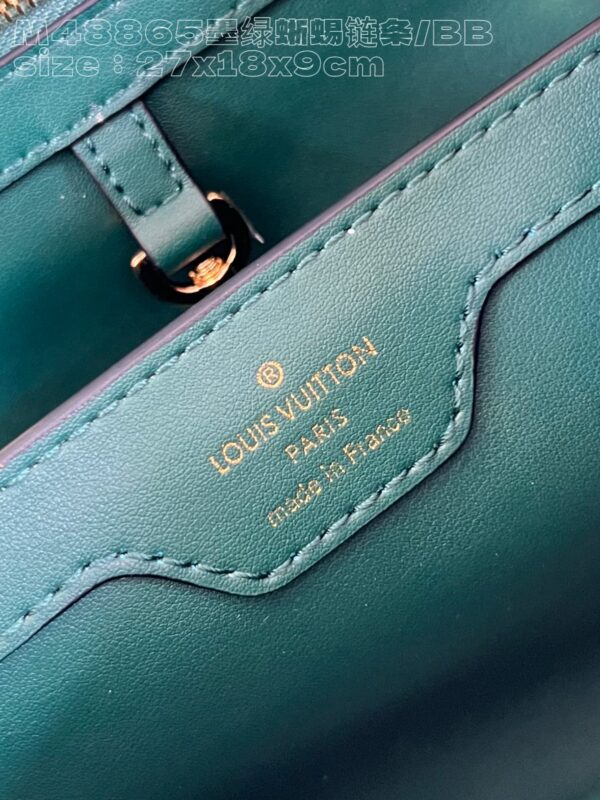 Louis Vuitton Capucines Small Handbag