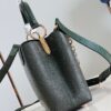 Louis Vuitton Capucines Small Handbag