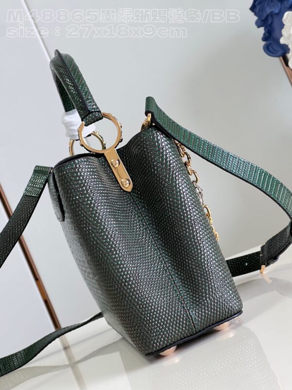 Louis Vuitton Capucines Small Handbag