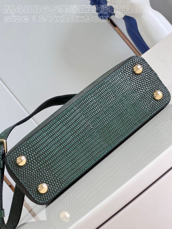 Louis Vuitton Capucines Small Handbag
