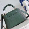 Louis Vuitton Capucines Small Handbag