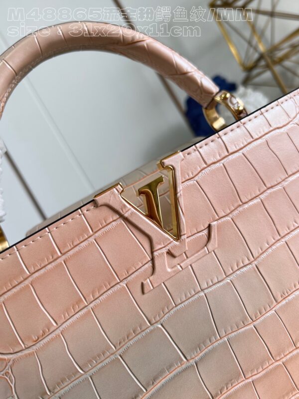 Louis Vuitton Capucines Medium Handbag