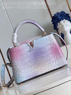 Louis Vuitton Capucines Medium Handbag