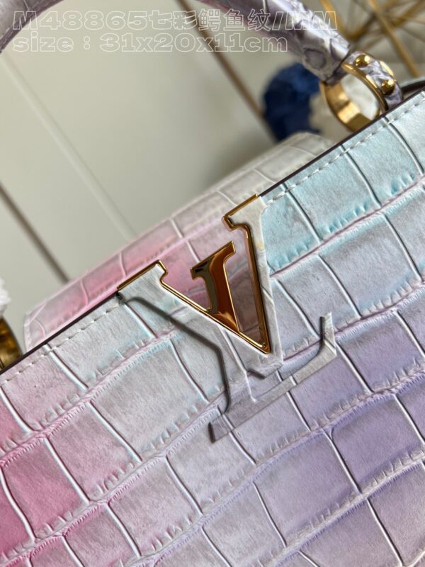 Louis Vuitton Capucines Medium Handbag