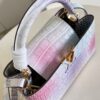 Louis Vuitton Capucines Medium Handbag