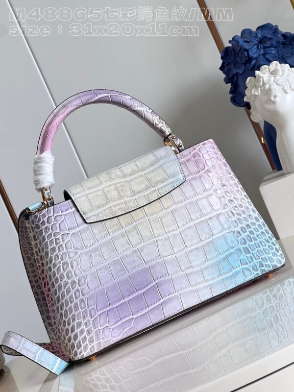 Louis Vuitton Capucines Medium Handbag