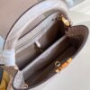 Louis Vuitton Capucines Medium Handbag
