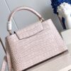 Louis Vuitton Capucines Medium Handbag